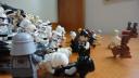dsc00733.jpg