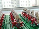 dsc02977.jpg