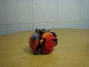 dsc01481.jpg