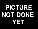 picture_not_done_yet.bmp