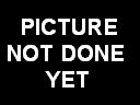 picture_not_done_yet.bmp