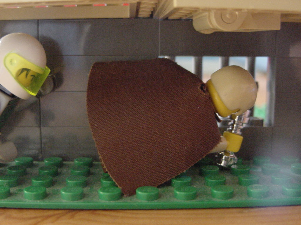 91.jpg