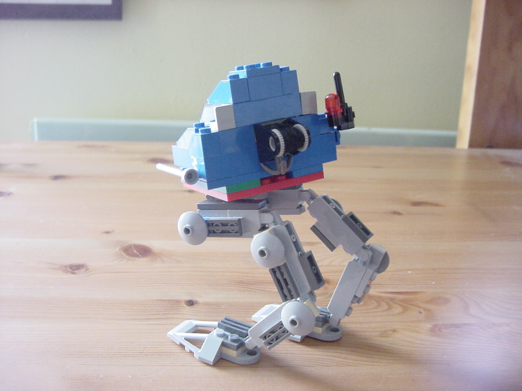 walker_rear.jpg