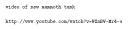 mammoth_222.txt