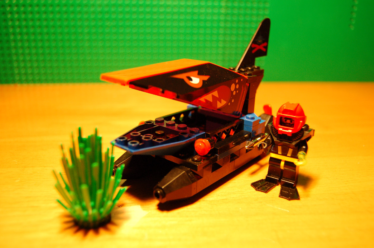 dsc_0197.jpg