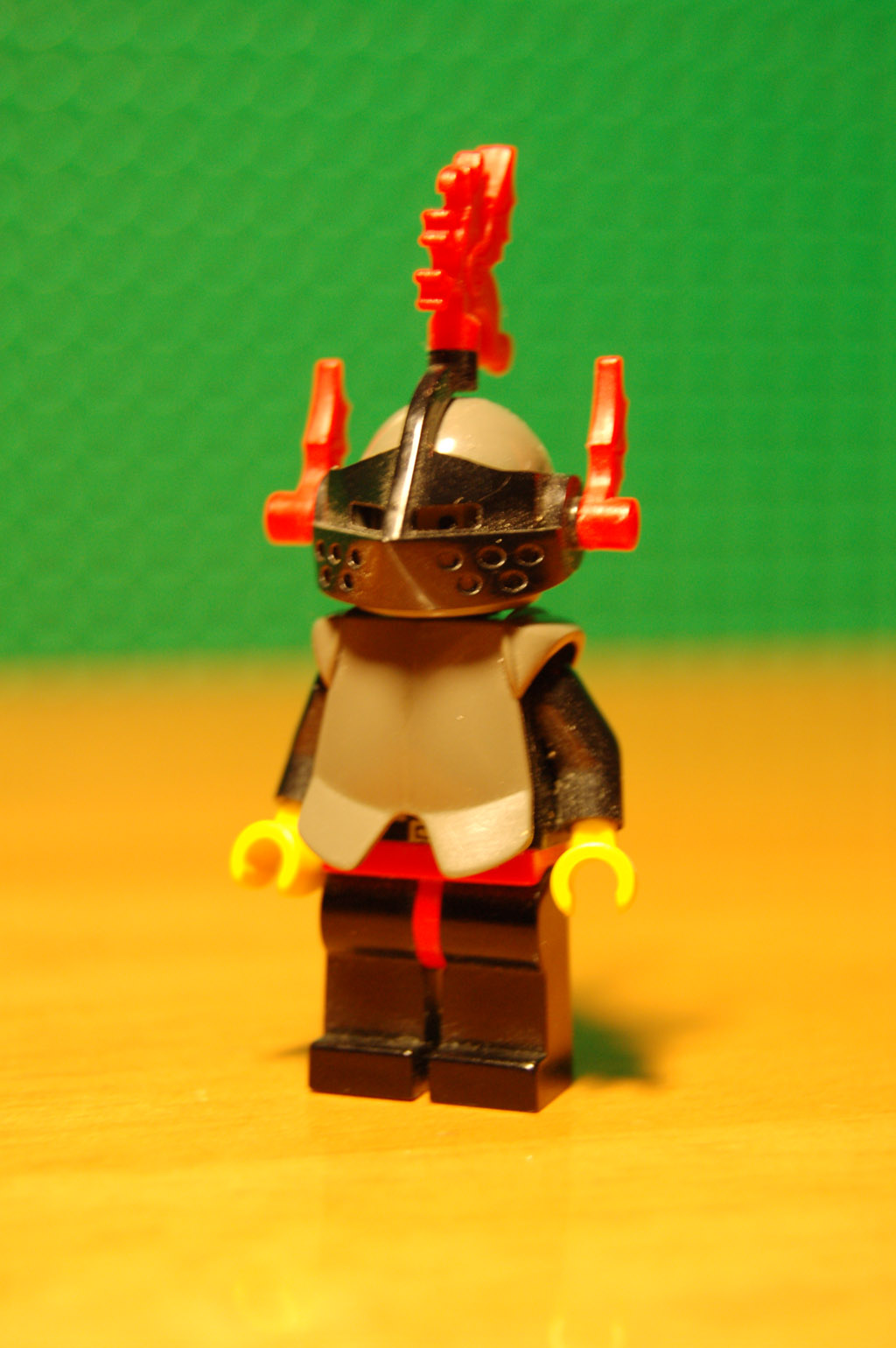 dsc_0267.jpg
