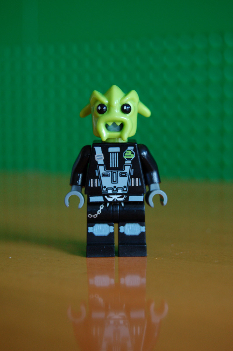 dsc_0687.jpg