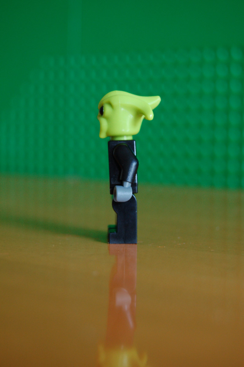 dsc_0688.jpg