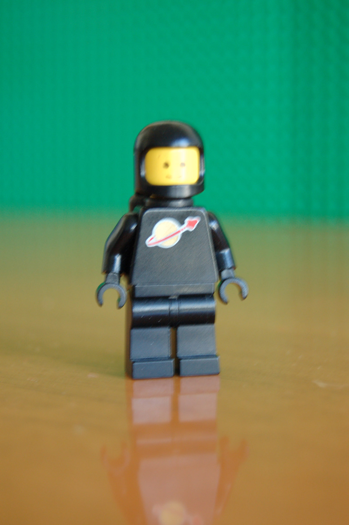 dsc_0464.jpg