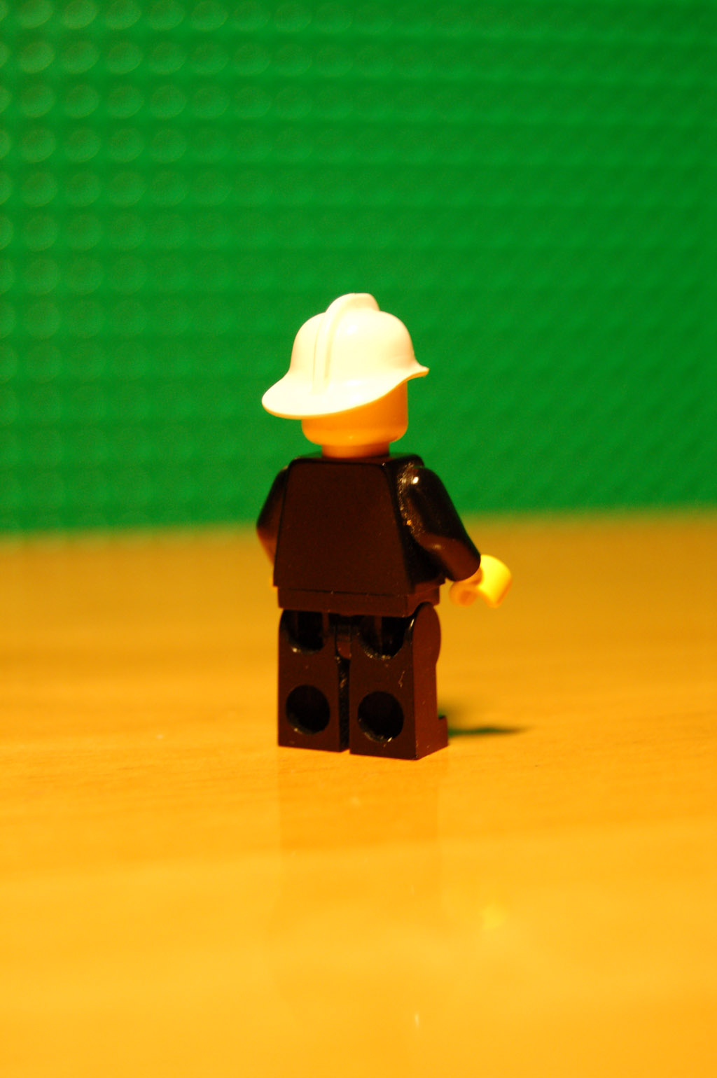 dsc_0250.jpg