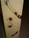 ant_farm_6.jpg