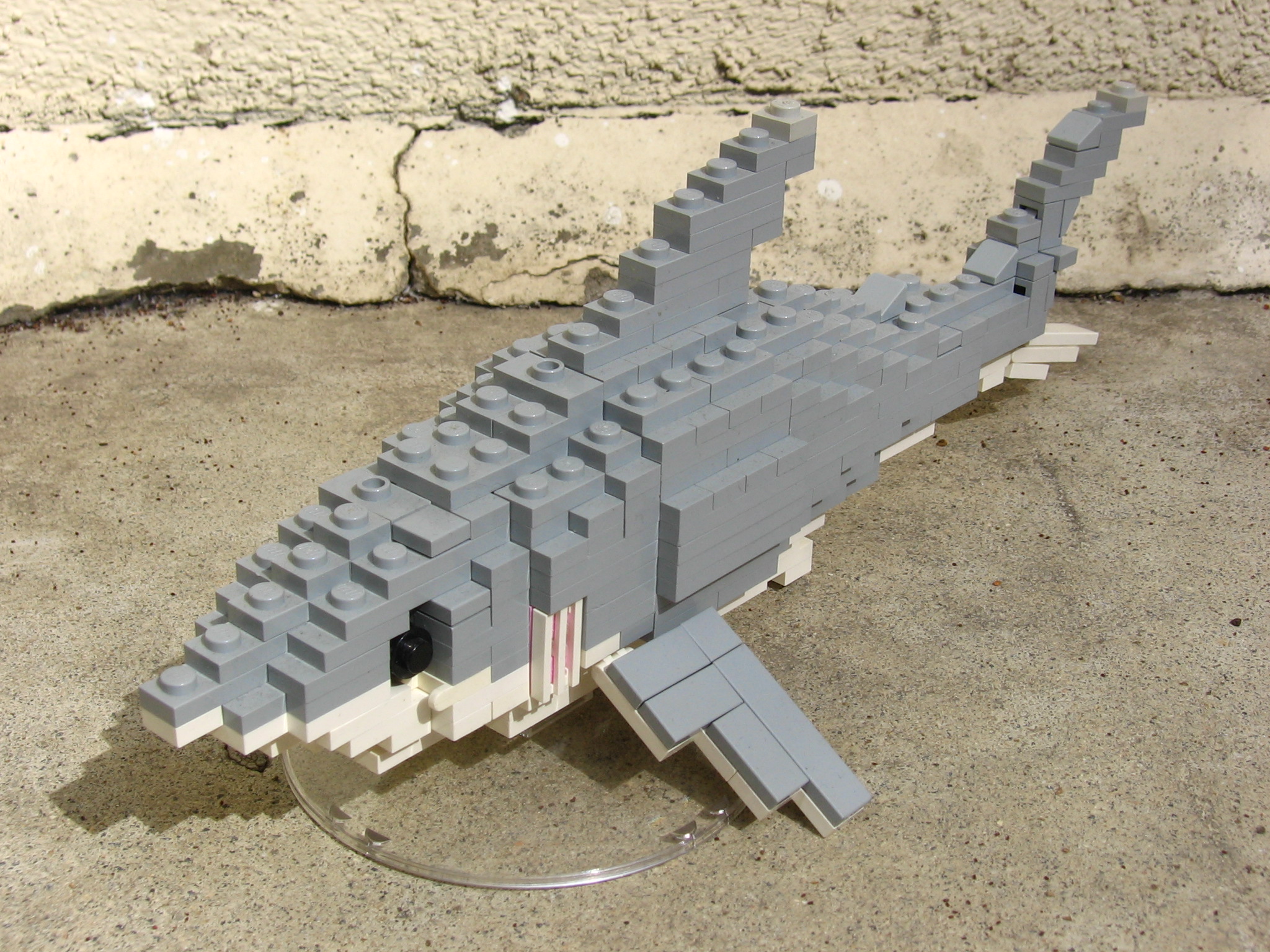 shark_2.jpg