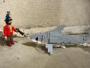 pirate_vs_shark.jpg