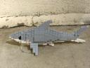 shark_1.jpg
