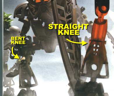 knees.jpg