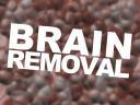 _brain.jpg