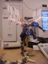 winged2.jpg