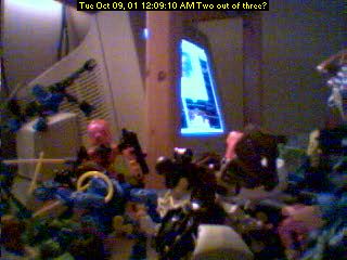 03.jpg