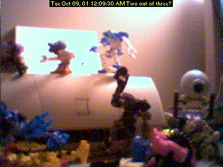 05.jpg