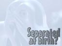 separate