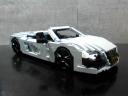 r8_spider_101.jpg
