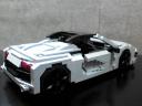 r8_spider_103.jpg