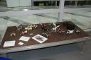 s_dsc09538.jpg