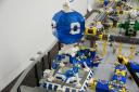 s_dsc09583.jpg