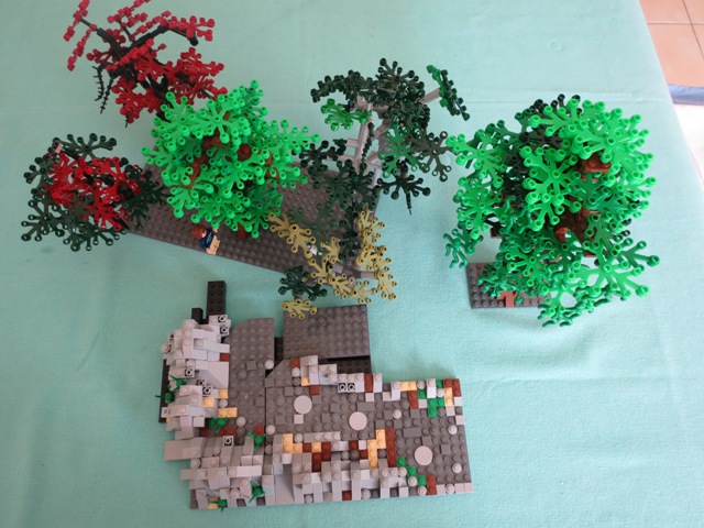 arbres.jpg