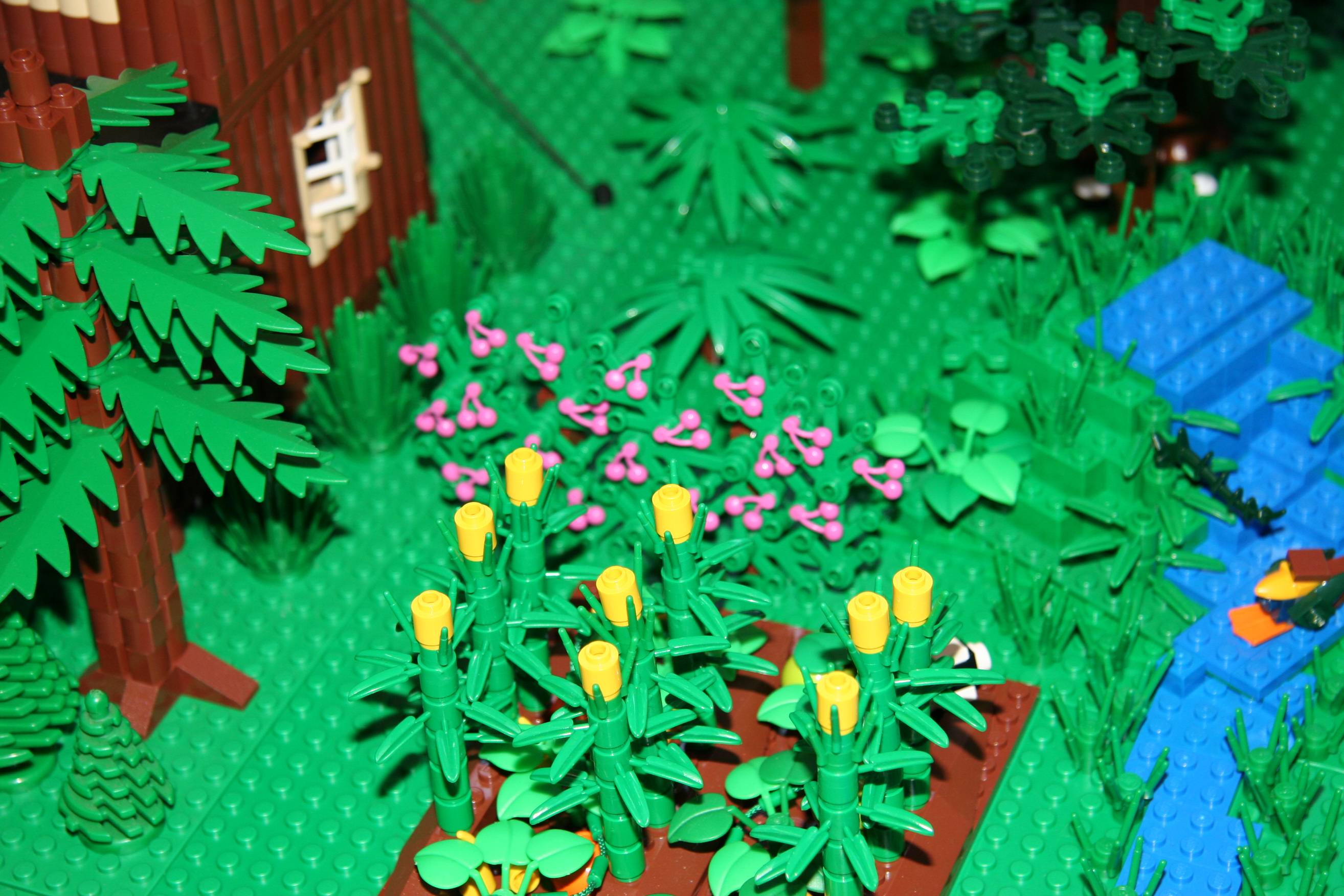 img_1396r.jpg