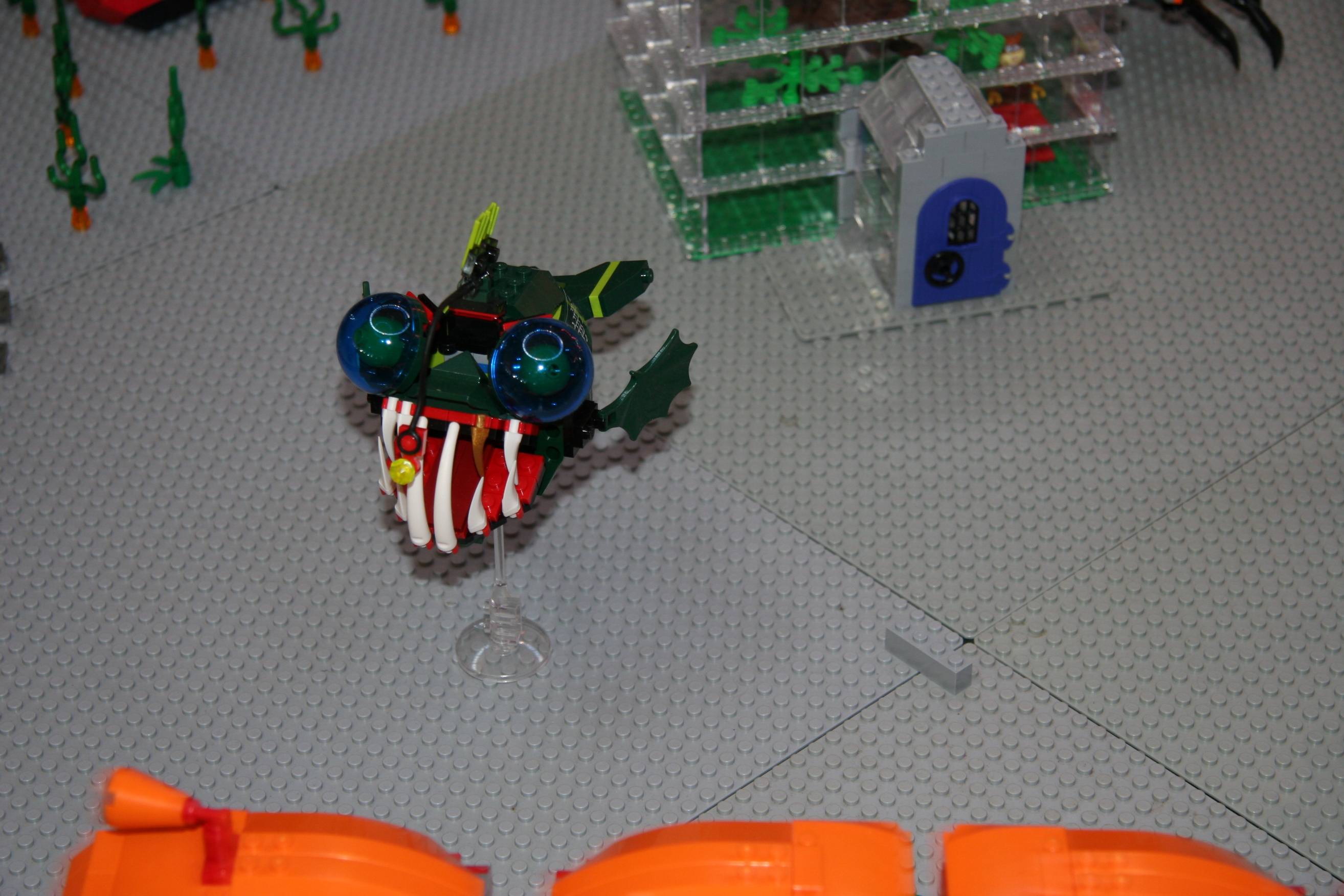 img_1584r.jpg