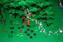 img_1380r.jpg