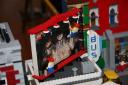 img_3821r.jpg