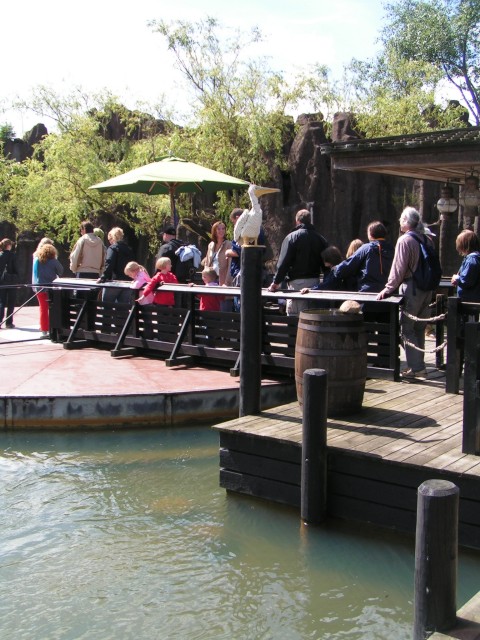 legoland_pirates_035_queue.jpg
