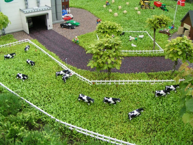 miniland_arla_cows.jpg