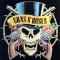 guns-n-roses-logo-4003898.jpg