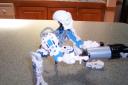 bonez_004.jpg