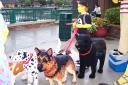 disney_vacation_08_016.jpg