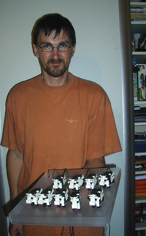 cow_09.jpg
