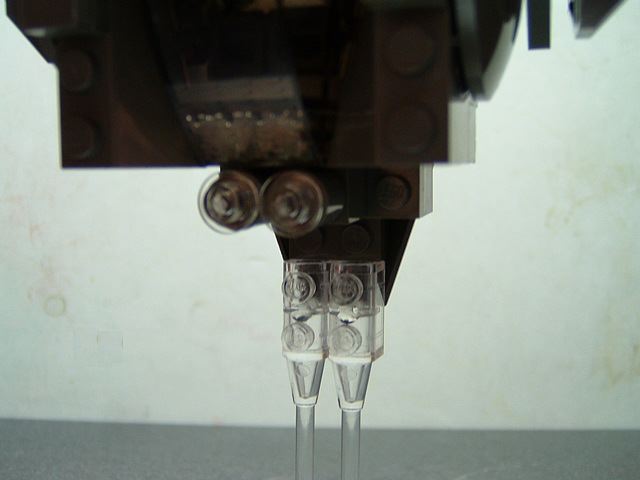 p305.jpg