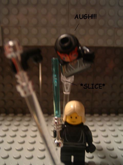 dscf0173.jpg