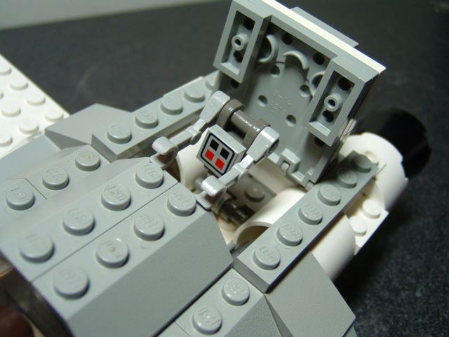 whitey08.jpg