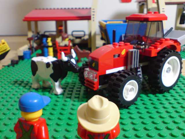 dsc00786.jpg