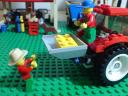 dsc00783.jpg