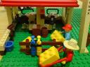 dsc00763.jpg
