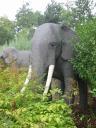 legoland_052.jpg