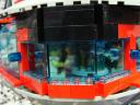 dsc01729.jpg