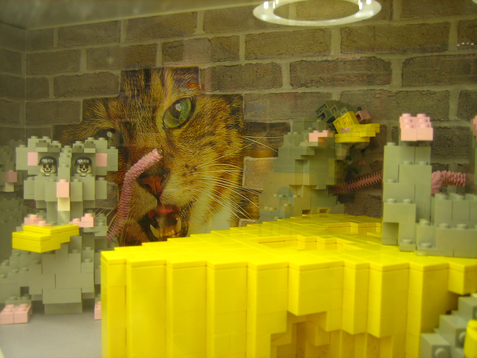 39.jpg