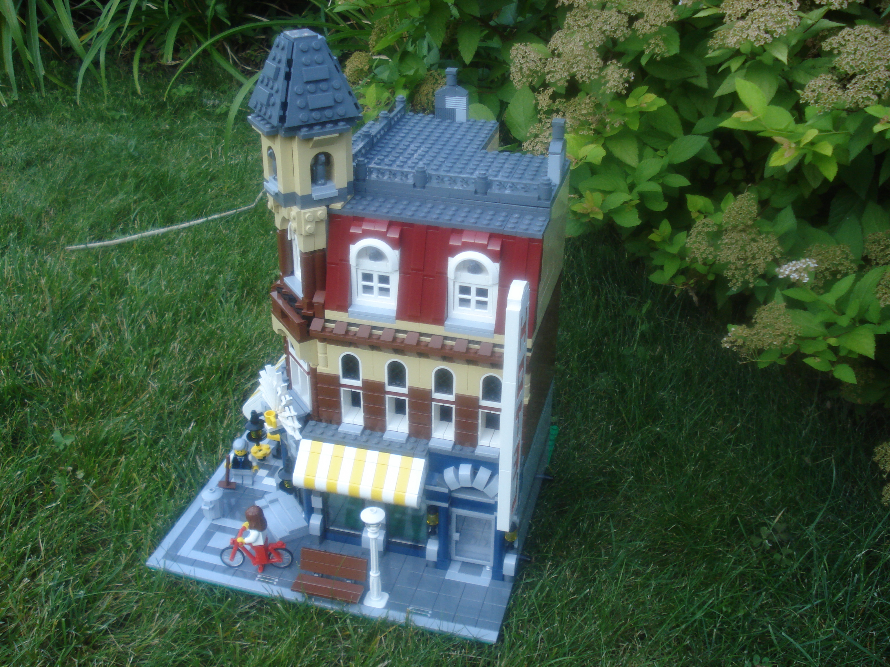 dsc00074.jpg