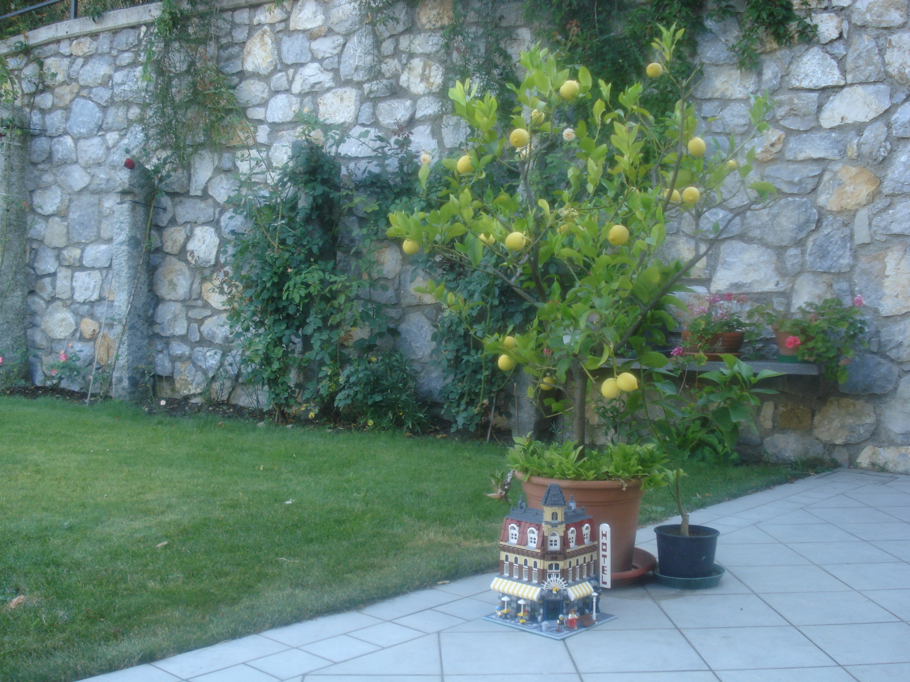 dsc00084.jpg